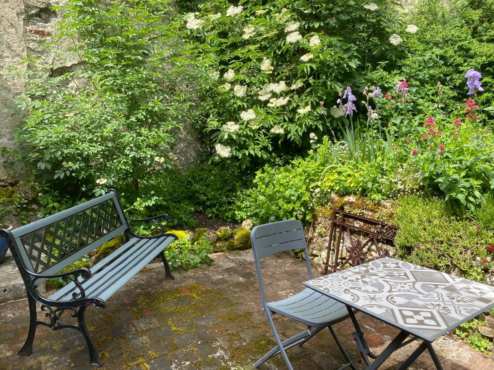 Chatel Rose - Historical Centre With Garden Блуа Экстерьер фото