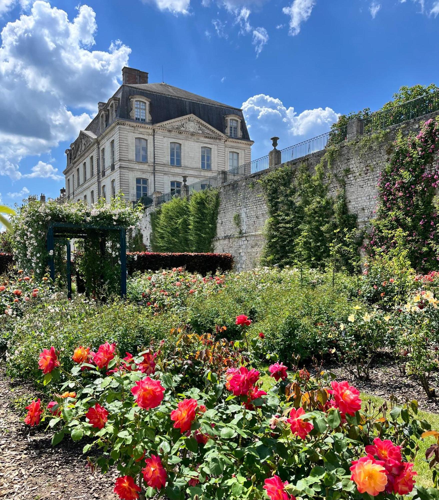 Chatel Rose - Historical Centre With Garden Блуа Экстерьер фото