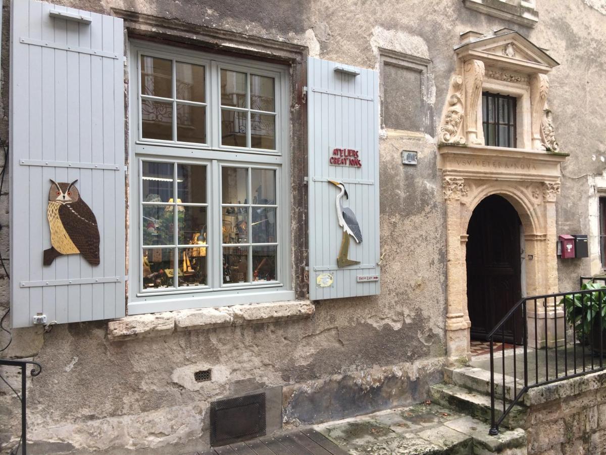 Chatel Rose - Historical Centre With Garden Блуа Экстерьер фото